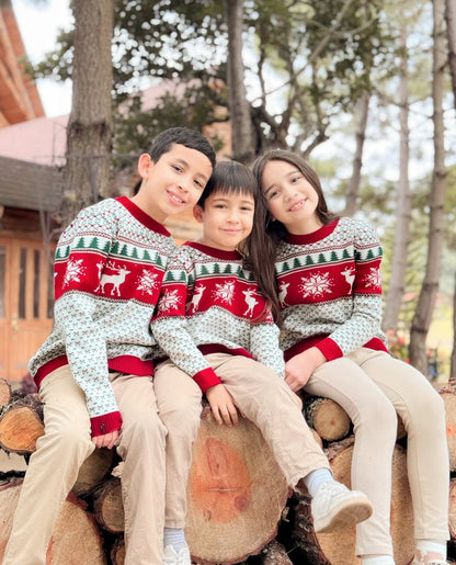 Dulce y cálida Navidad. Hermosos suéteres tejidos para la Navidad.